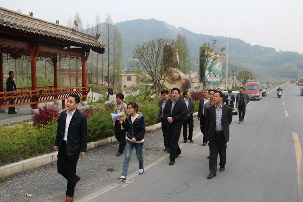 湖北省考察团到朱旺村参观指导