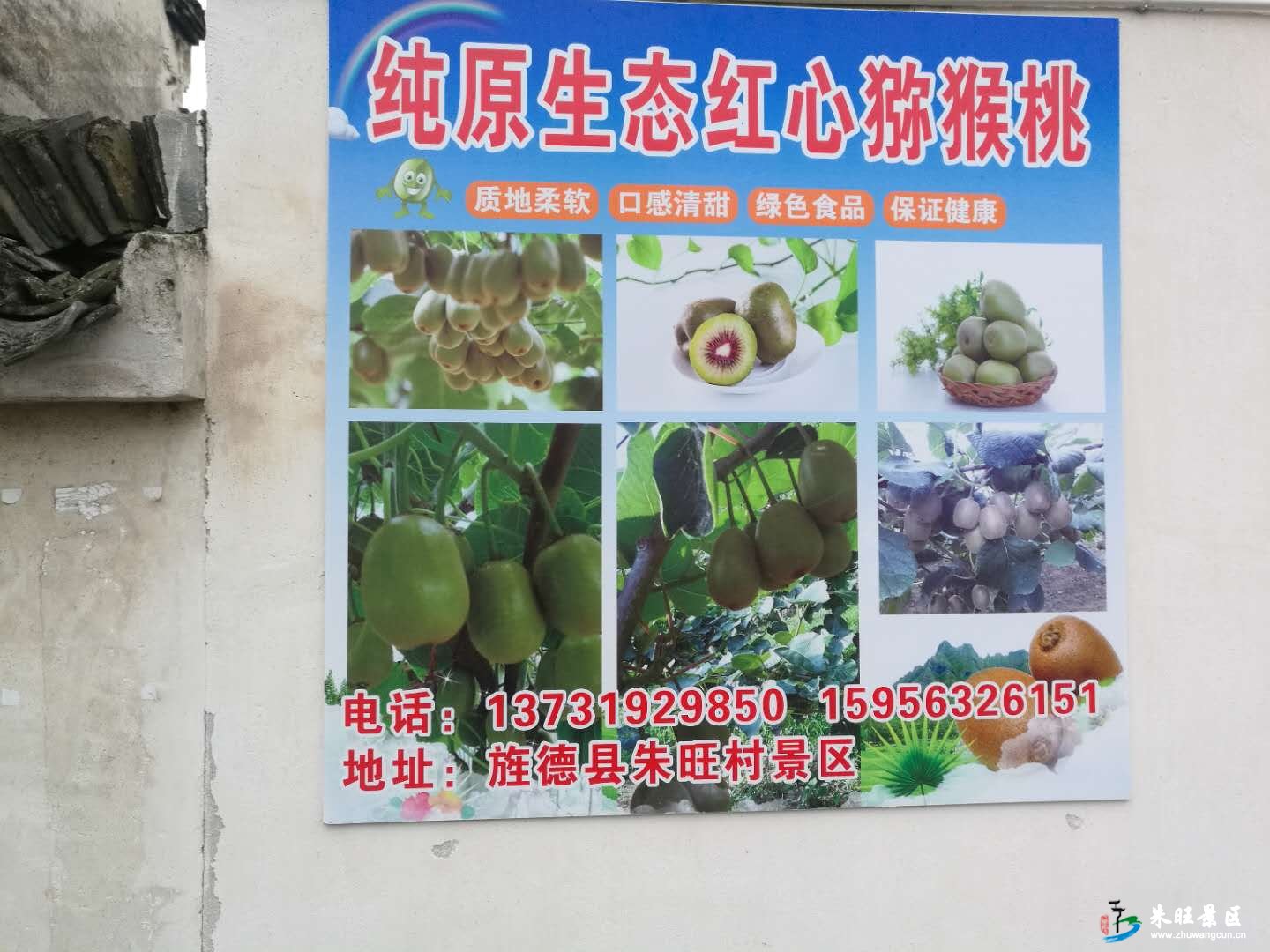 红心猕猴桃采摘园